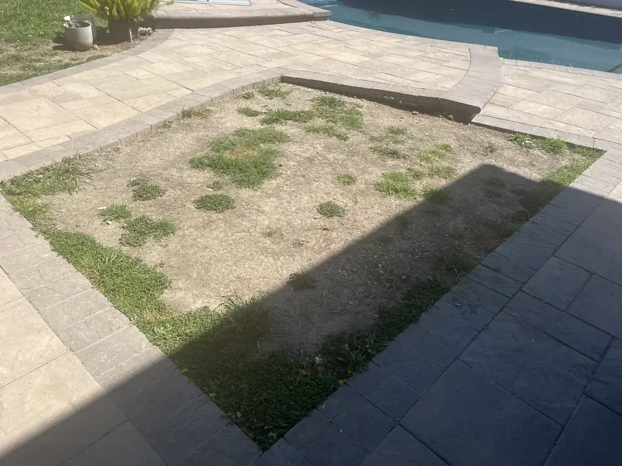 Pool Backyard Turf & River Rock in Chatsworth, CA before Daniels Landscaping started work