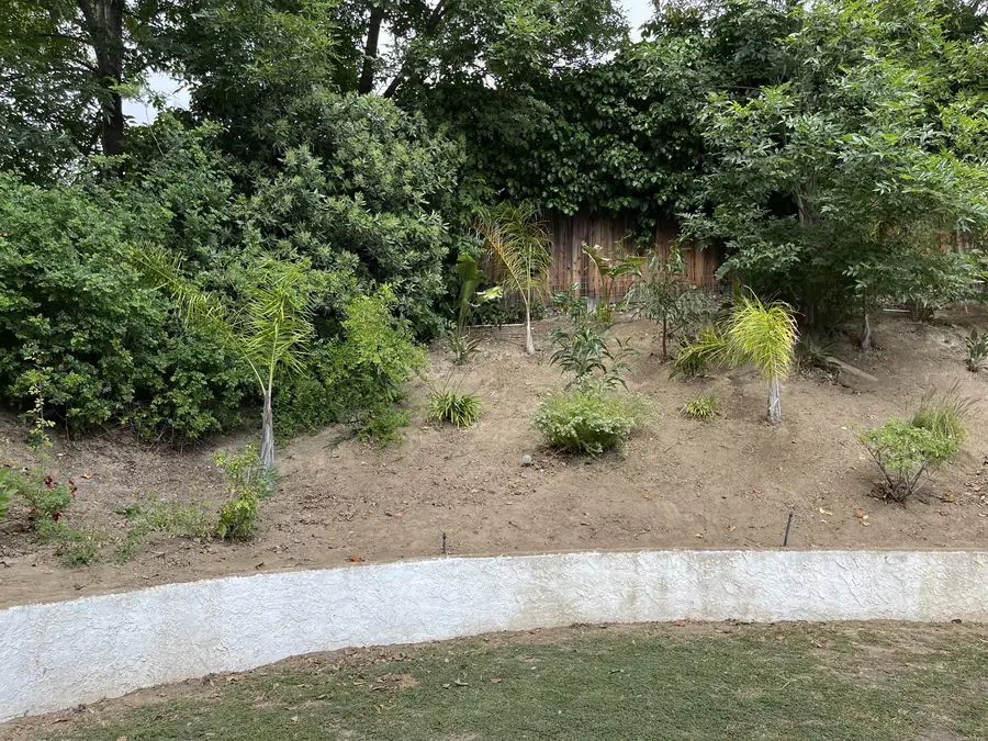 Hillside Slope Planting in West Hills, CA before Daniels Landscaping started work