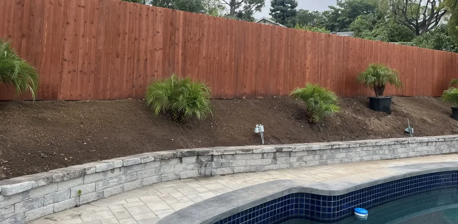 Backyard Turf & Palm Makeover in Woodland Hills, CA before Daniels Landscaping started work