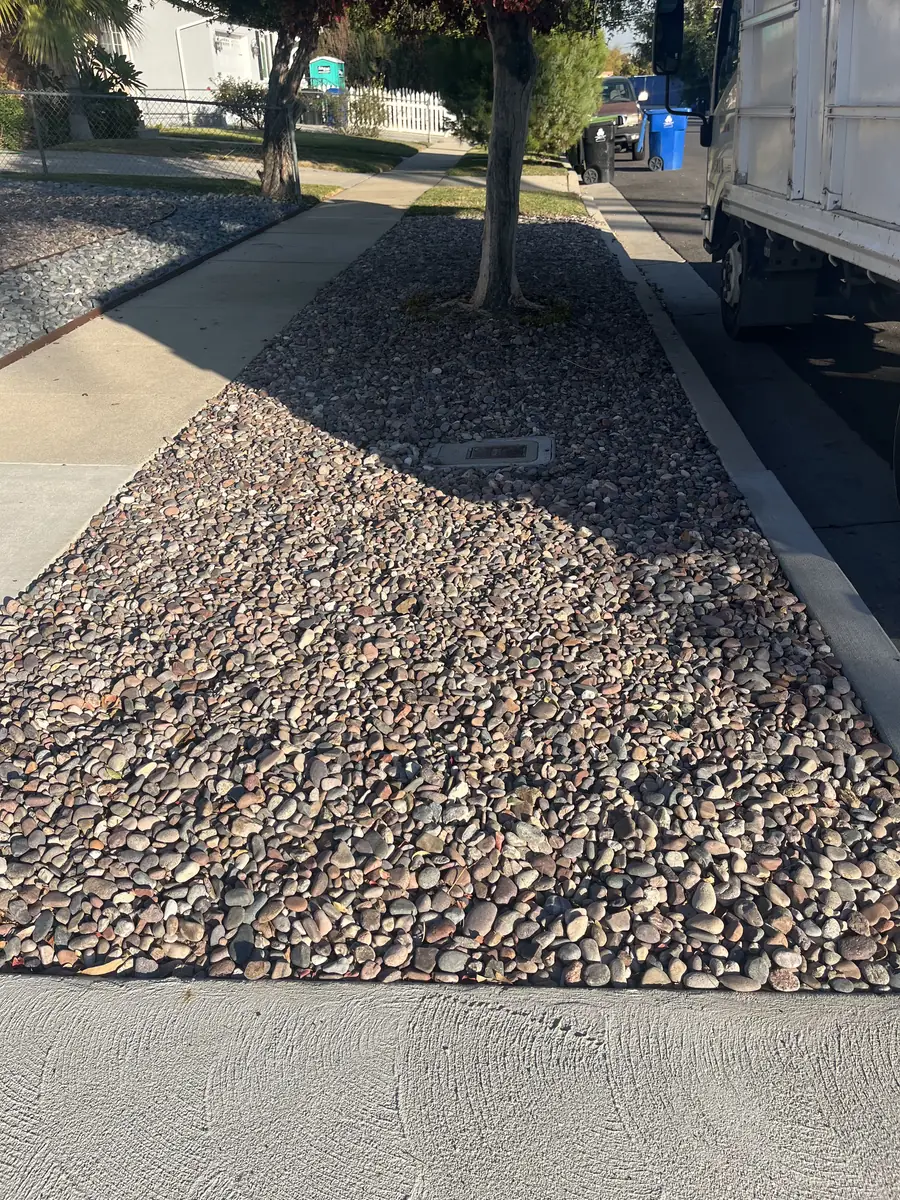 Drought Tolerant Parkway in Woodland Hills, CA before Daniels Landscaping started work